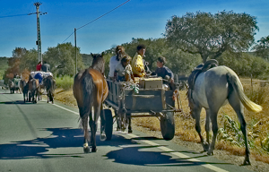Gypsies along the road in the Alentejo Gypsies along the road in the Alentejo