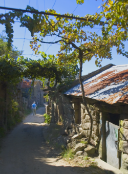 Wine trellised trails of a stone Minho villlage Wine trellised trails of a stone Minho villlage