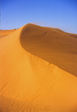 Red dunes