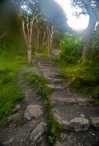 The trail turns upwards (2011) Photo (c) Karen Abrahamson