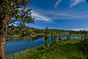 _DSC0108