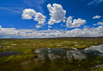 Altiplano9b