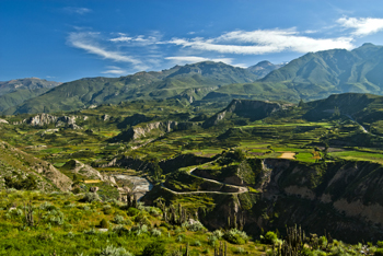Canyn de Colca8