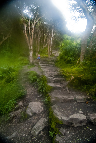 camino inca11
