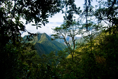 camino inca19