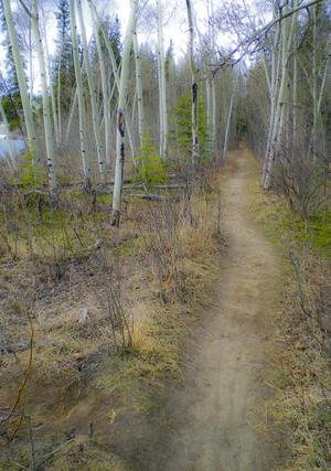 Yukon path