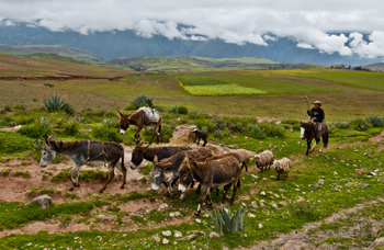 cusco-sacred valley moray 6
